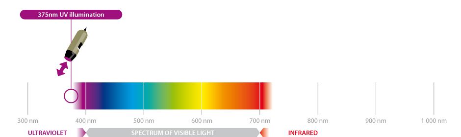 AM7115MT-FUW : Microscope numérique USB Dino-Lite - Dino-Lite France