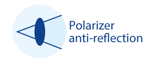 polarize