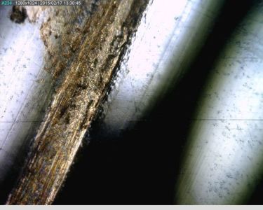 mold 5