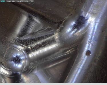 mold 8